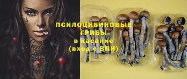 ПСИЛОЦИБИНОВЫЕ ГРИБЫ Киренск