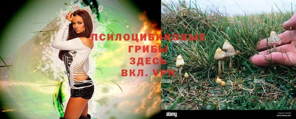 таблы Киреевск