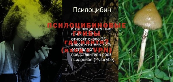 ешки Кинешма