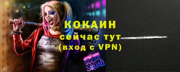 ешки Кинешма