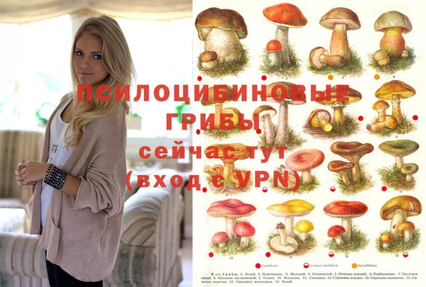 таблы Киреевск