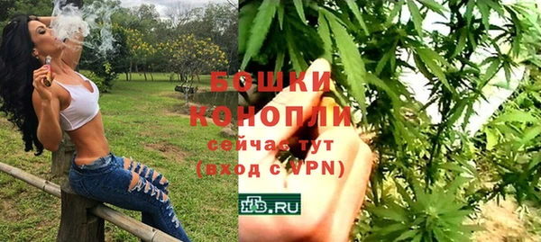 ПСИЛОЦИБИНОВЫЕ ГРИБЫ Киренск