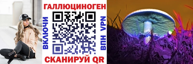 Галлюциногенные грибы Psilocybe  Купить закладки  Губкин 