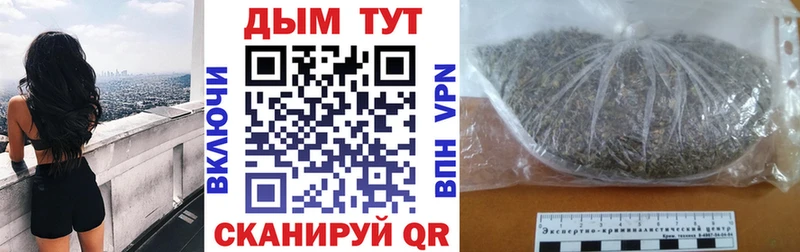 Купить закладки  Губкин  Каннабис семена 
